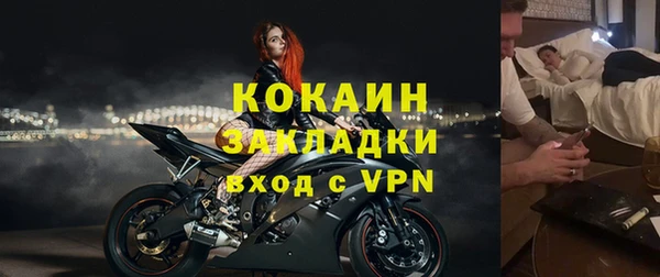 шишки Инта