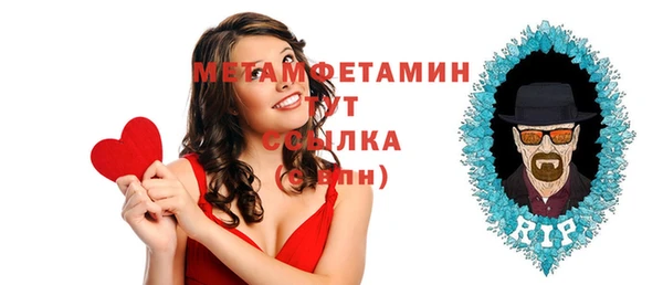 шишки Инта