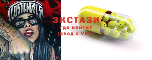 шишки Инта