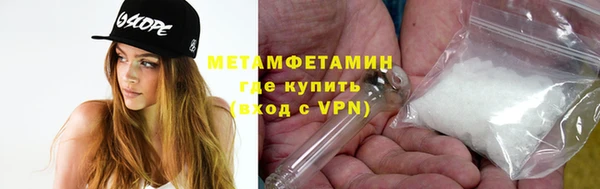 шишки Инта