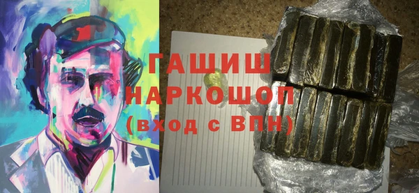 шишки Инта
