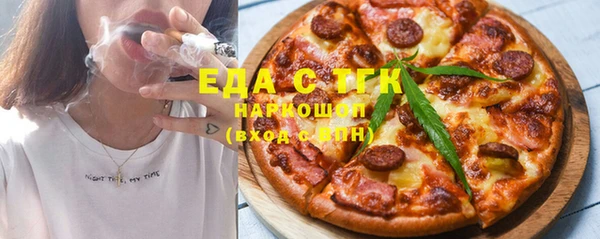 шишки Инта