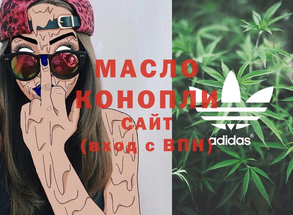 шишки Инта