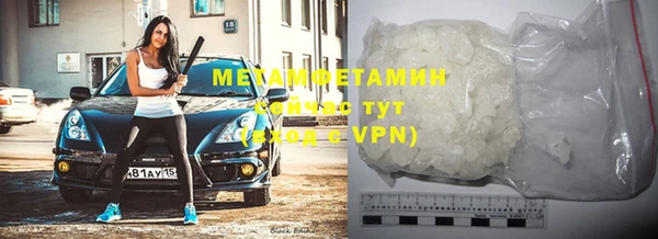 шишки Инта