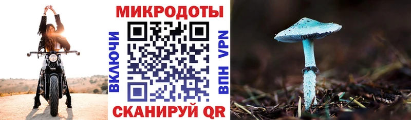 Галлюциногенные грибы мицелий  Купить  Княгинино 