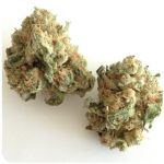 Шишки "White Widow"  (Белая вдова)  Гидропоника -  Бошка VHQ в Княгинино